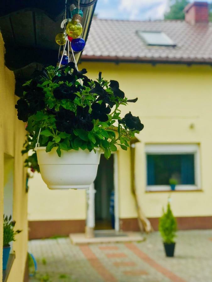 Nadmorski Apartment *